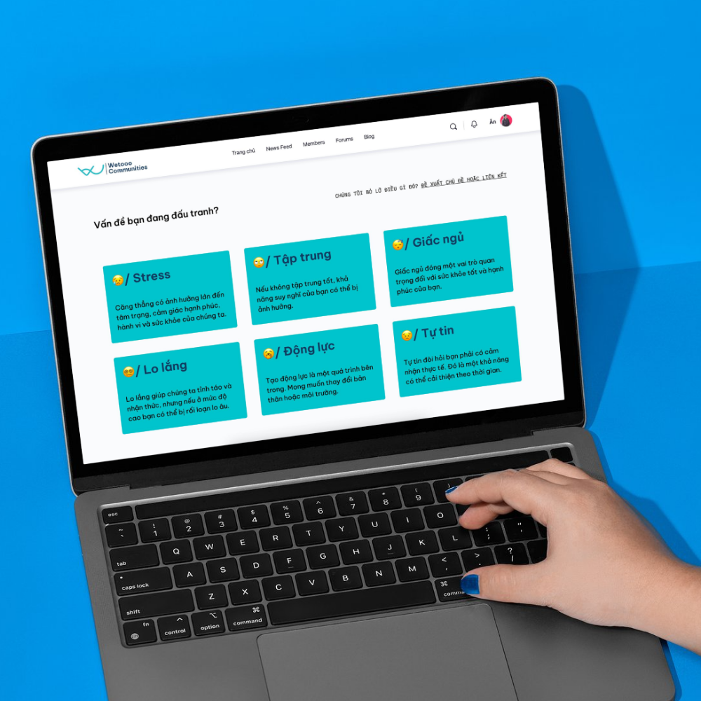 website-12